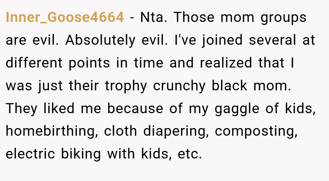 Inner_Goose4664 − Nta. Those mom groups are evil. Absolutely evil. I've joined several at different points in time and realized that I was just their trophy crunchy black mom. They liked me because of my gaggle of kids, homebirthing, cloth diapering, composting, electric biking with kids, etc.