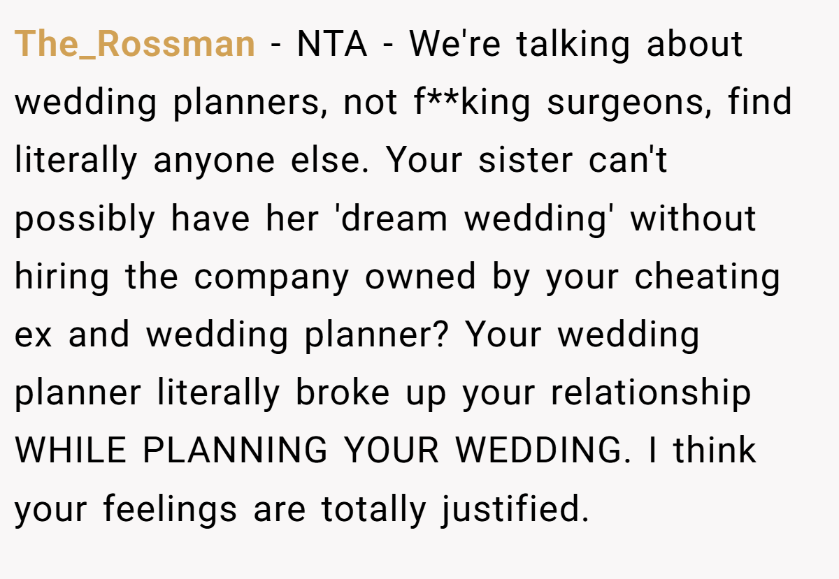 The_Rossman − NTA - We're talking about wedding planners, not f**king surgeons, find literally anyone else. Your sister can't possibly have her 'dream wedding' without hiring the company owned by your cheating ex and wedding planner? Your wedding planner literally broke up your relationship WHILE PLANNING YOUR WEDDING. I think your feelings are totally justified.