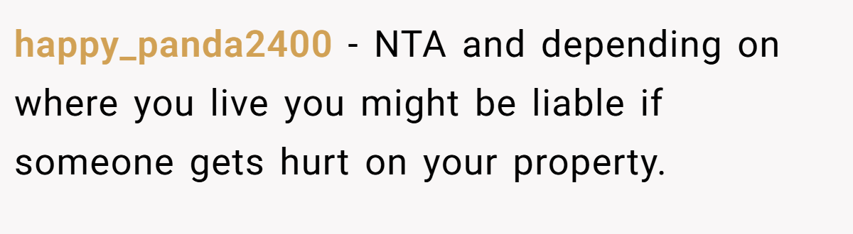 happy_panda2400 - NTA and depending on where you live you might be liable if someone gets hurt on your property.