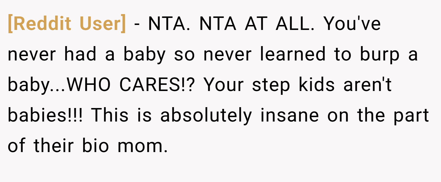 [Reddit User] − NTA. NTA AT ALL. You've never had a baby so never learned to burp a baby...WHO CARES!? Your step kids aren't babies!!! This is absolutely insane on the part of their bio mom.