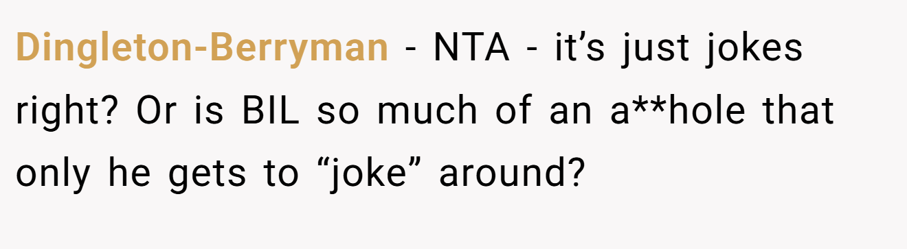 Dingleton-Berryman - NTA - it’s just jokes right? Or is BIL so much of an a**hole that only he gets to “joke” around?