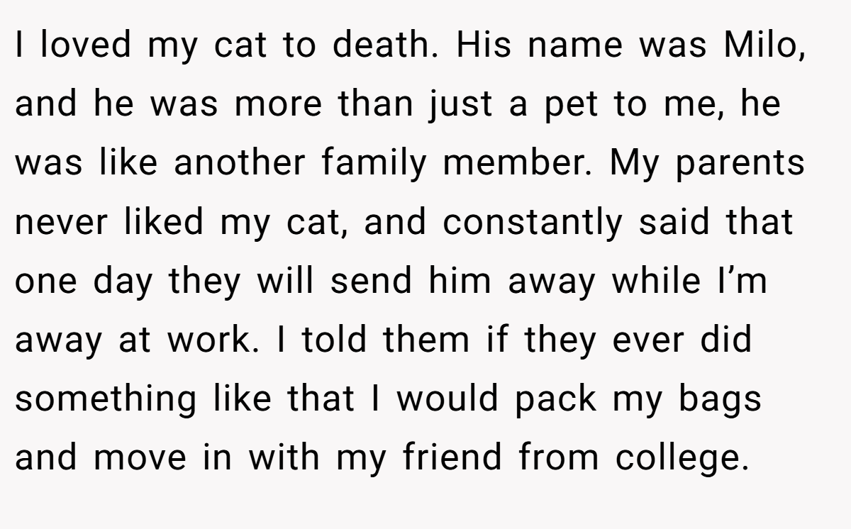 I loved my cat to death. His name was Milo, and he was more than just a pet to me, he was like another family member. My parents never liked my cat, and constantly said that one day they will send him away while I’m away at work. I told them if they ever did something like that I would pack my bags and move in with my friend from college.