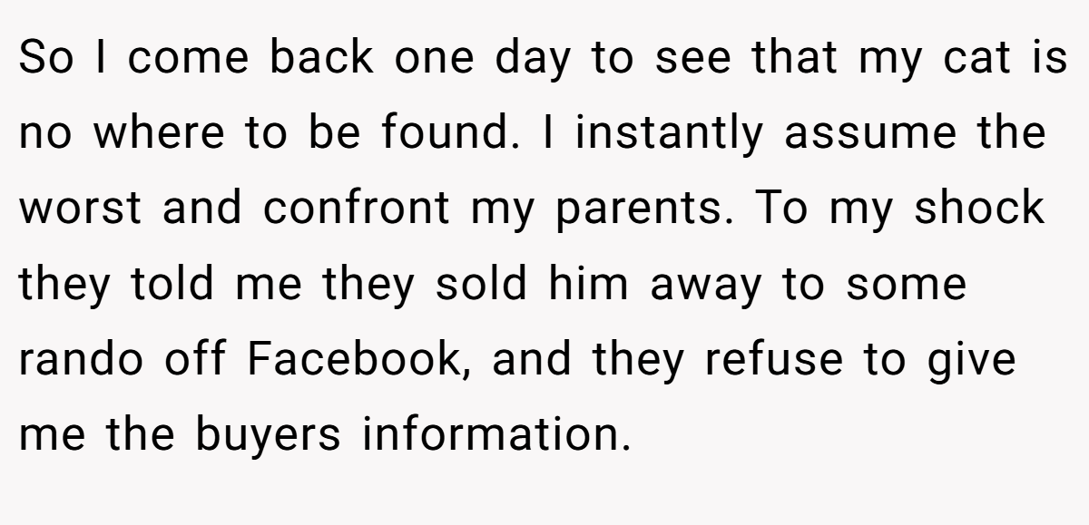 So I come back one day to see that my cat is no where to be found. I instantly assume the worst and confront my parents. To my shock they told me they sold him away to some rando off Facebook, and they refuse to give me the buyers information.