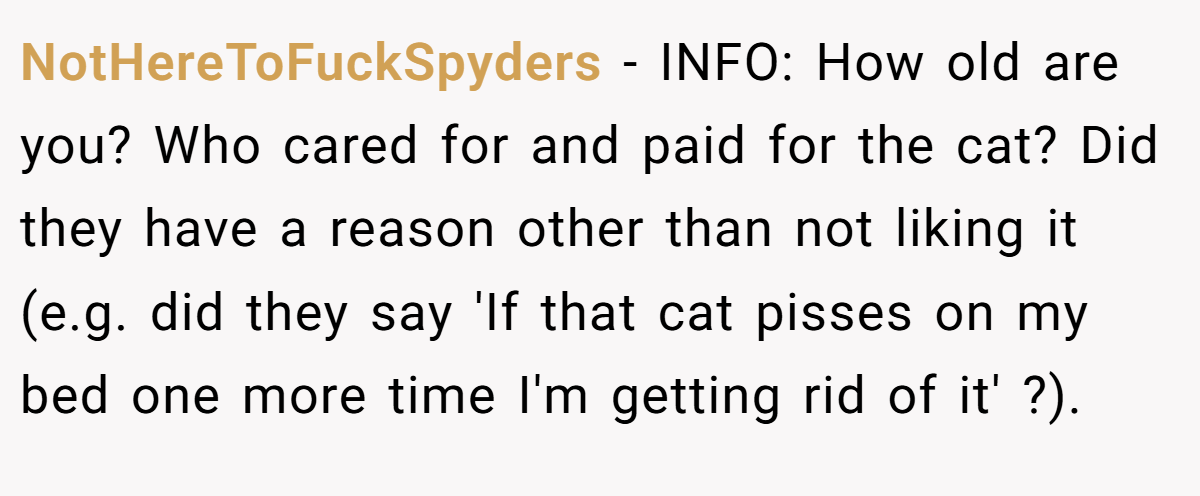 NotHereToFuckSpyders - INFO: How old are you? Who cared for and paid for the cat? Did they have a reason other than not liking it (e.g. did they say 'If that cat pisses on my bed one more time I'm getting rid of it' ?).