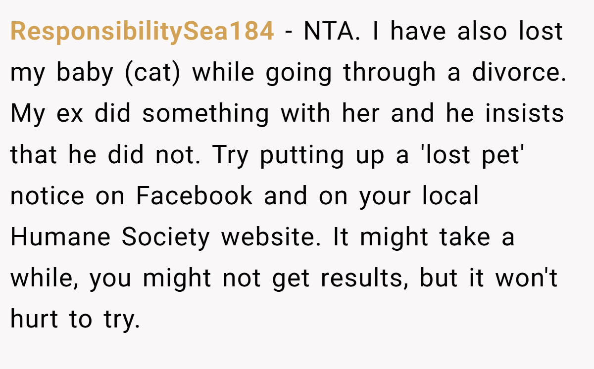 ResponsibilitySea184 - NTA. I have also lost my baby (cat) while going through a divorce. My ex did something with her and he insists that he did not. Try putting up a 'lost pet' notice on Facebook and on your local Humane Society website. It might take a while, you might not get results, but it won't hurt to try.