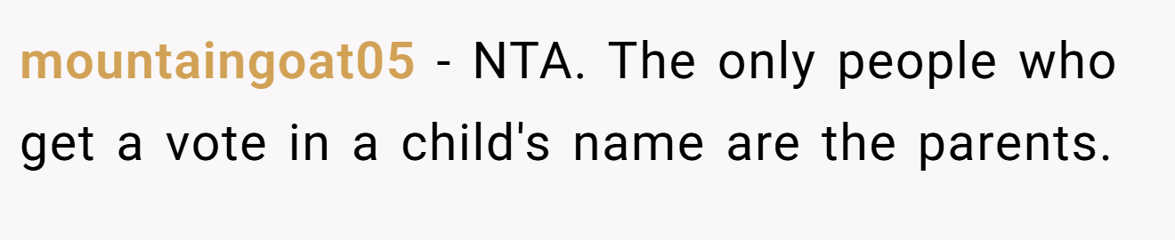 mountaingoat05 - NTA. The only people who get a vote in a child's name are the parents.