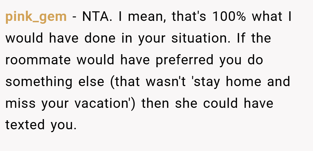 pink_gem − NTA. I mean, that's 100% what I would have done in your situation. If the roommate would have preferred you do something else (that wasn't 'stay home and miss your vacation') then she could have texted you.