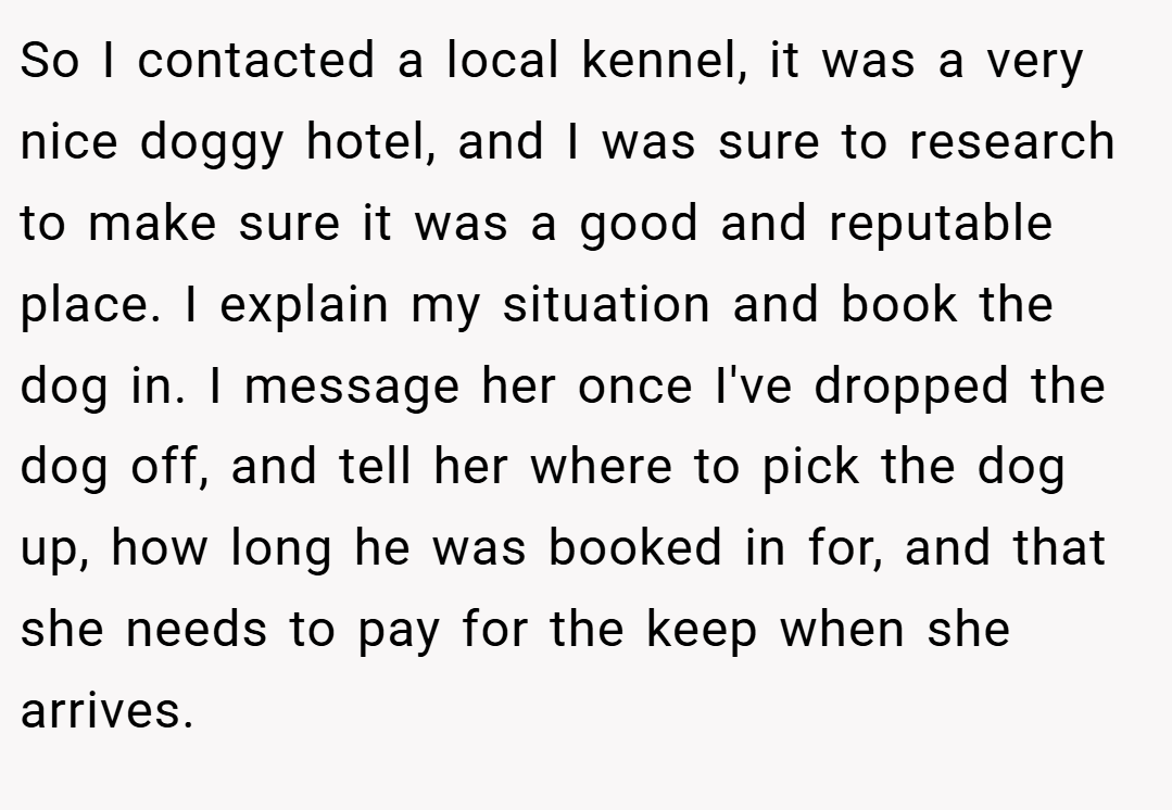 So I contacted a local kennel, it was a very nice doggy hotel, and I was sure to research to make sure it was a good and reputable place. I explain my situation and book the dog in. I message her once I've dropped the dog off, and tell her where to pick the dog up, how long he was booked in for, and that she needs to pay for the keep when she arrives.