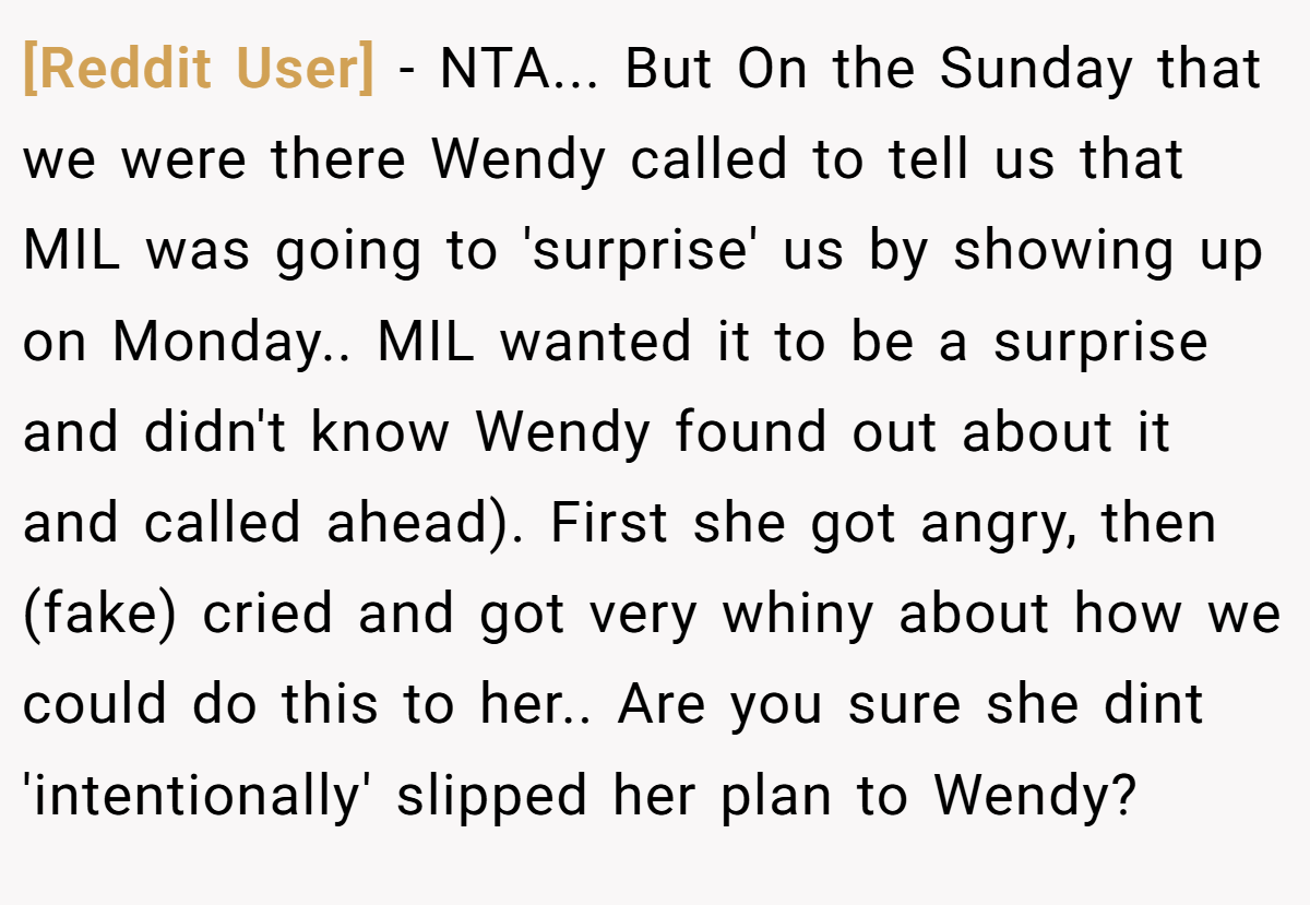 [Reddit User] − NTA... But On the Sunday that we were there Wendy called to tell us that MIL was going to 'surprise' us by showing up on Monday.. MIL wanted it to be a surprise and didn't know Wendy found out about it and called ahead). First she got angry, then (fake) cried and got very whiny about how we could do this to her.. Are you sure she dint 'intentionally' slipped her plan to Wendy?