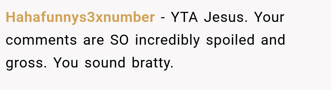 Hahafunnys3xnumber − YTA Jesus. Your comments are SO incredibly spoiled and gross. You sound bratty.
