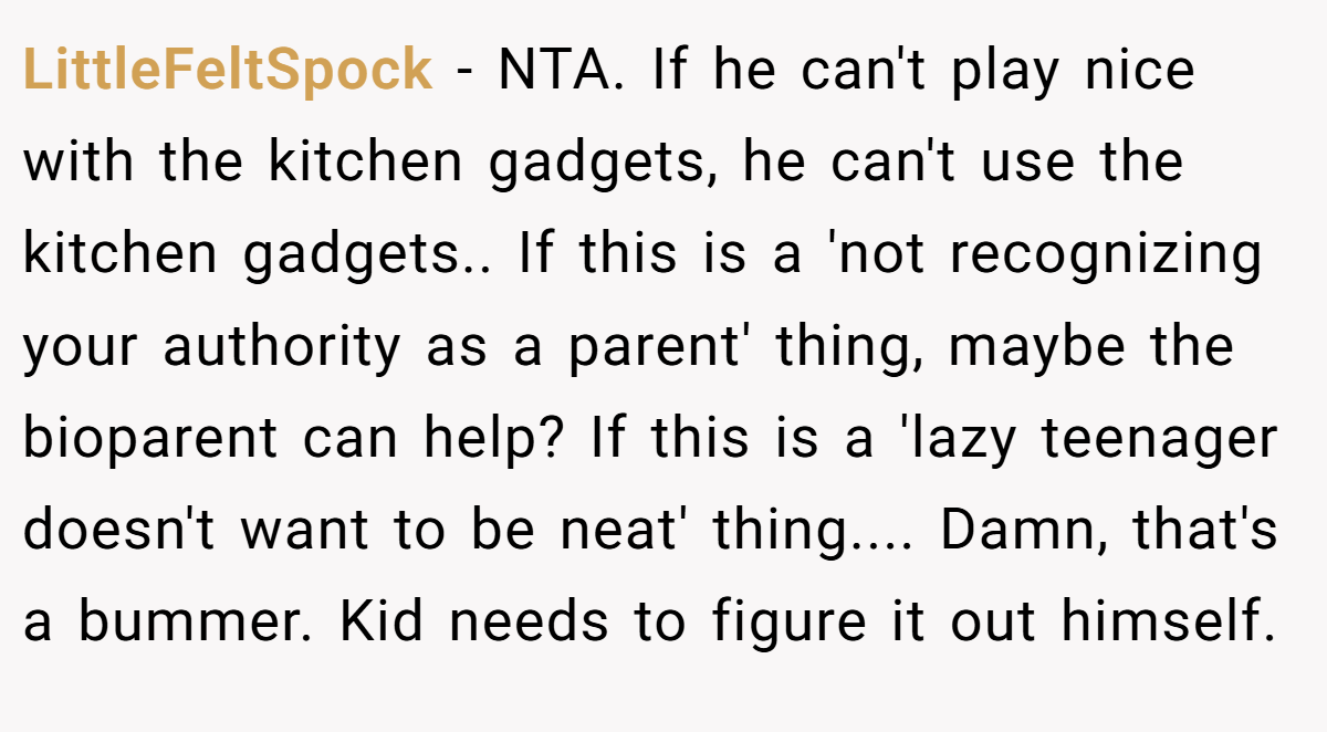 LittleFeltSpock − NTA. If he can't play nice with the kitchen gadgets, he can't use the kitchen gadgets.. If this is a 'not recognizing your authority as a parent' thing, maybe the bioparent can help? If this is a 'lazy teenager doesn't want to be neat' thing.... Damn, that's a bummer. Kid needs to figure it out himself.