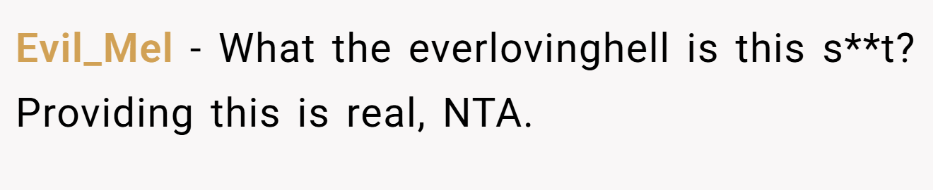 Evil_Mel − What the everlovinghell is this s**t? Providing this is real, NTA.