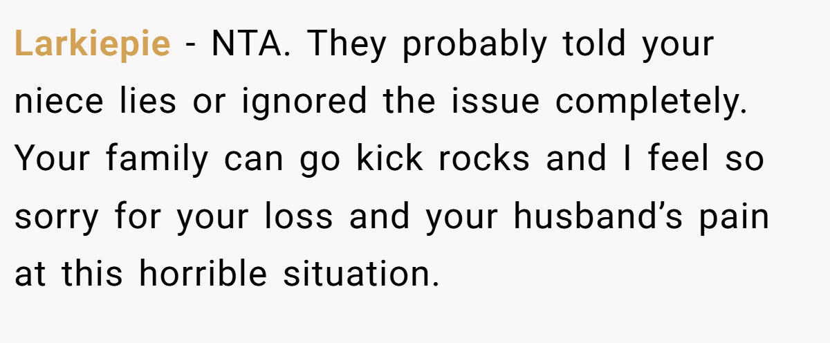 Larkiepie − NTA. They probably told your niece lies or ignored the issue completely. Your family can go kick rocks and I feel so sorry for your loss and your husband’s pain at this horrible situation.