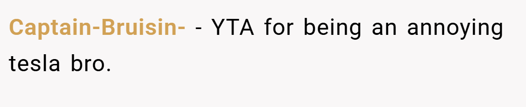 Captain-Bruisin- − YTA for being an annoying tesla bro.