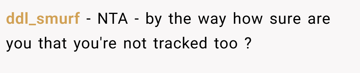 ddl_smurf - NTA - by the way how sure are you that you're not tracked too ?