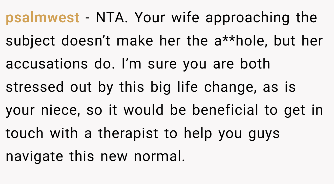 psalmwest - NTA. Your wife approaching the subject doesn’t make her the a**hole, but her accusations do. I’m sure you are both stressed out by this big life change, as is your niece, so it would be beneficial to get in touch with a therapist to help you guys navigate this new normal.