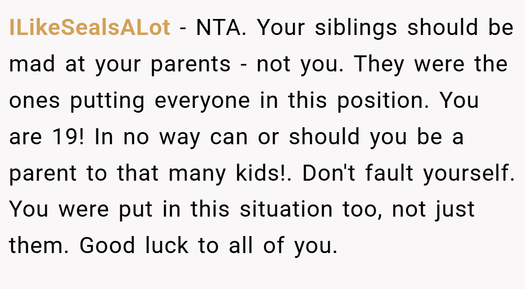 ILikeSealsALot − NTA. Your siblings should be mad at your parents - not you. They were the ones putting everyone in this position. You are 19! In no way can or should you be a parent to that many kids!. Don't fault yourself. You were put in this situation too, not just them. Good luck to all of you.