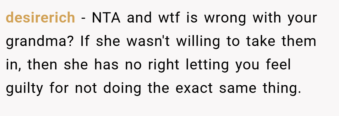 desirerich − NTA and wtf is wrong with your grandma? If she wasn't willing to take them in, then she has no right letting you feel guilty for not doing the exact same thing.