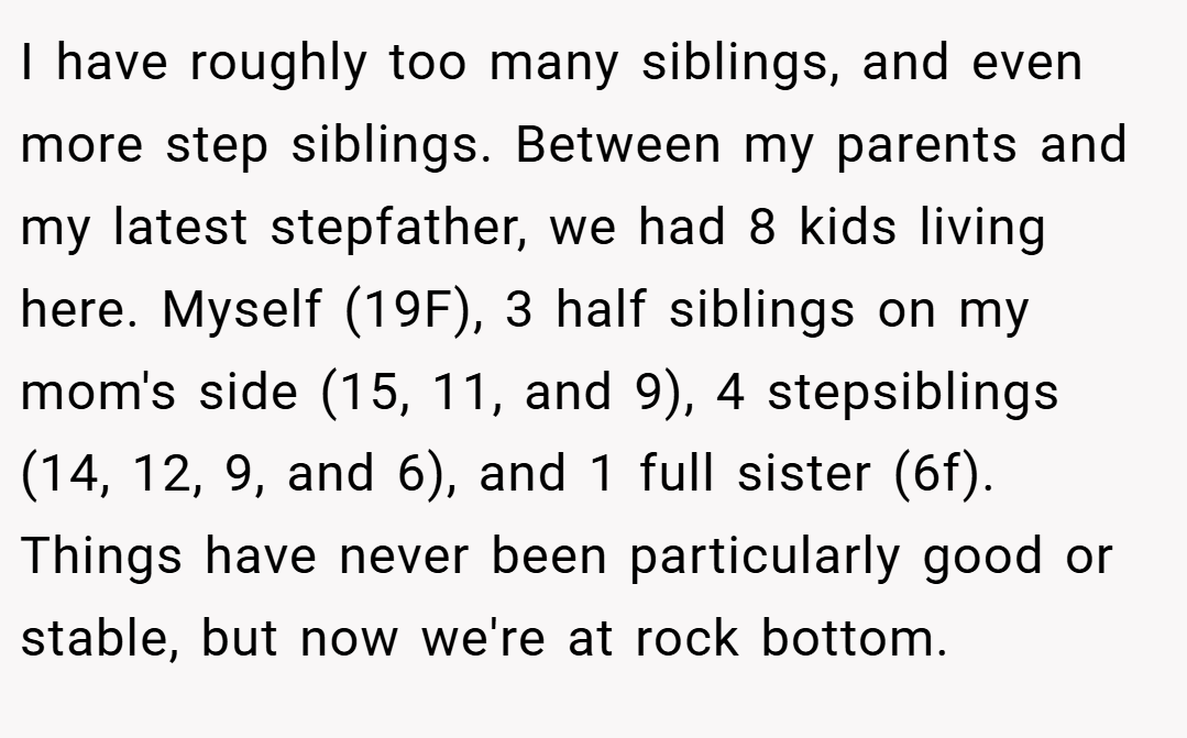 I have roughly too many siblings, and even more step siblings. Between my parents and my latest stepfather, we had 8 kids living here. Myself (19F), 3 half siblings on my mom's side (15, 11, and 9), 4 stepsiblings (14, 12, 9, and 6), and 1 full sister (6f). Things have never been particularly good or stable, but now we're at rock bottom.