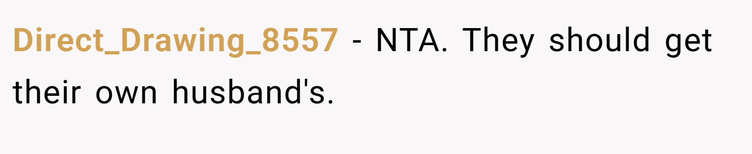 Direct_Drawing_8557 − NTA. They should get their own husband's.