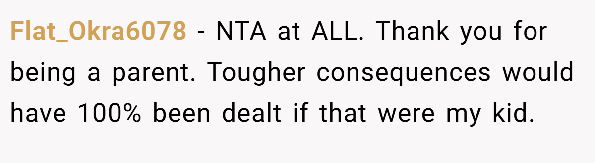 Flat_Okra6078 − NTA at ALL. Thank you for being a parent. Tougher consequences would have 100% been dealt if that were my kid.