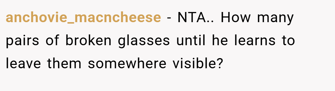 anchovie_macncheese − NTA.. How many pairs of broken glasses until he learns to leave them somewhere visible?