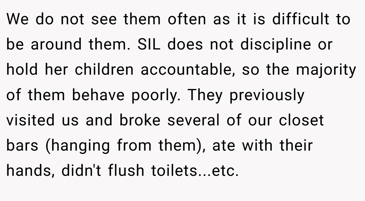 We do not see them often as it is difficult to be around them. SIL does not discipline or hold her children accountable, so the majority of them behave poorly. They previously visited us and broke several of our closet bars (hanging from them), ate with their hands, didn't flush toilets...etc.