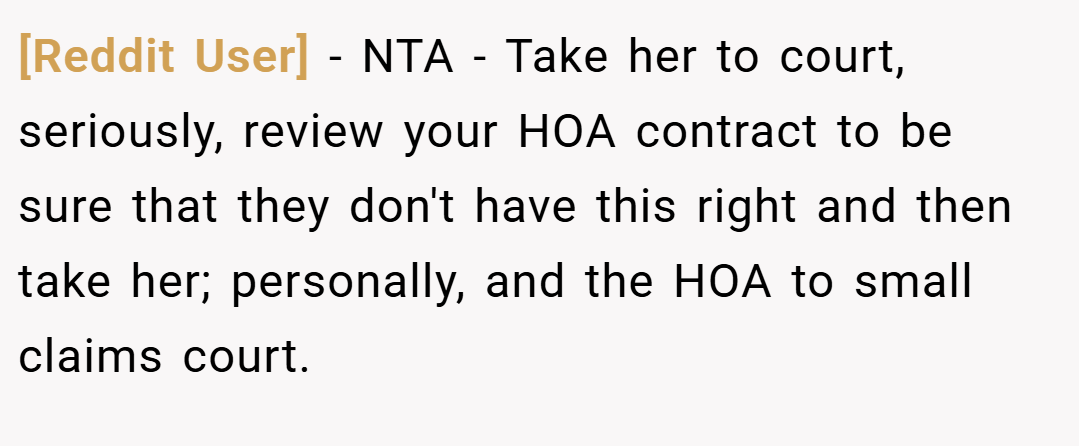 [Reddit User] − NTA - Take her to court, seriously, review your HOA contract to be sure that they don't have this right and then take her; personally, and the HOA to small claims court.