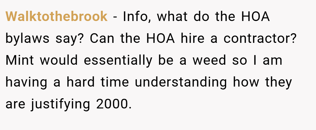 Walktothebrook − Info, what do the HOA bylaws say? Can the HOA hire a contractor? Mint would essentially be a weed so I am having a hard time understanding how they are justifying 2000.
