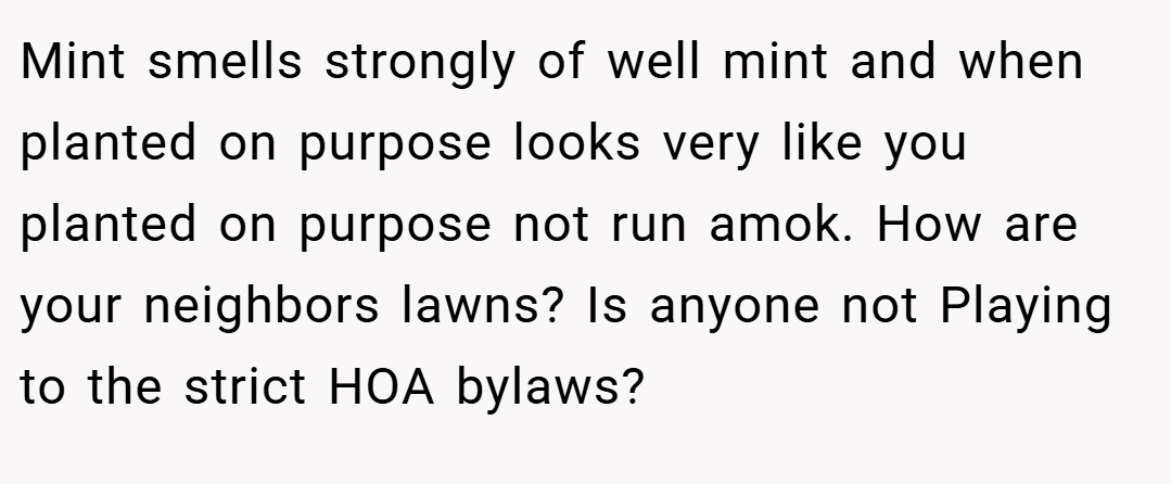Mint smells strongly of well mint and when planted on purpose looks very like you planted on purpose not run amok. How are your neighbors lawns? Is anyone not Playing to the strict HOA bylaws?