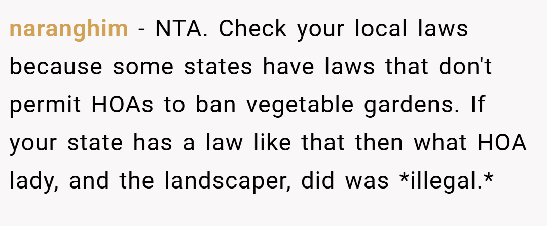 naranghim − NTA. Check your local laws because some states have laws that don't permit HOAs to ban vegetable gardens. If your state has a law like that then what HOA lady, and the landscaper, did was *illegal.*