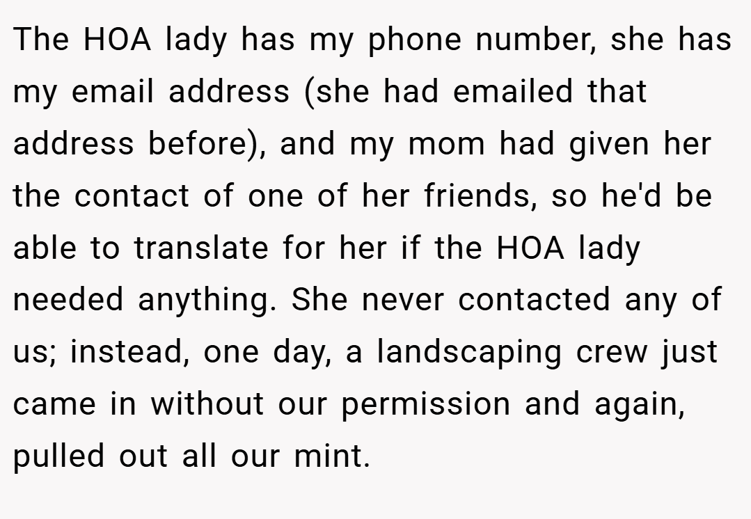 The HOA lady has my phone number, she has my email address (she had emailed that address before), and my mom had given her the contact of one of her friends, so he'd be able to translate for her if the HOA lady needed anything. She never contacted any of us; instead, one day, a landscaping crew just came in without our permission and again, pulled out all our mint.