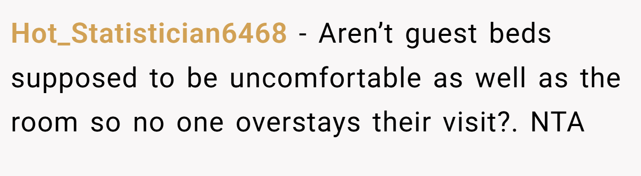 Hot_Statistician6468 − Aren’t guest beds supposed to be uncomfortable as well as the room so no one overstays their visit?. NTA