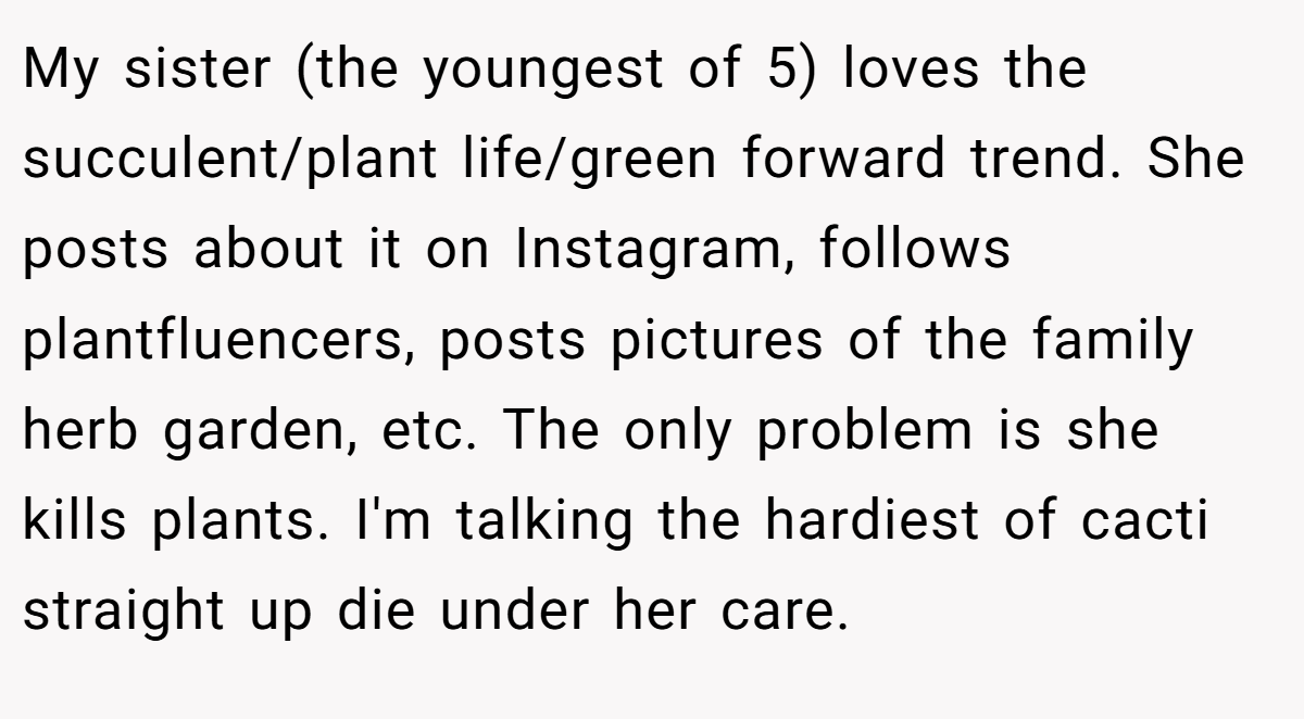 My sister (the youngest of 5) loves the succulent/plant life/green forward trend. She posts about it on Instagram, follows plantfluencers, posts pictures of the family herb garden, etc. The only problem is she kills plants. I'm talking the hardiest of cacti straight up die under her care.