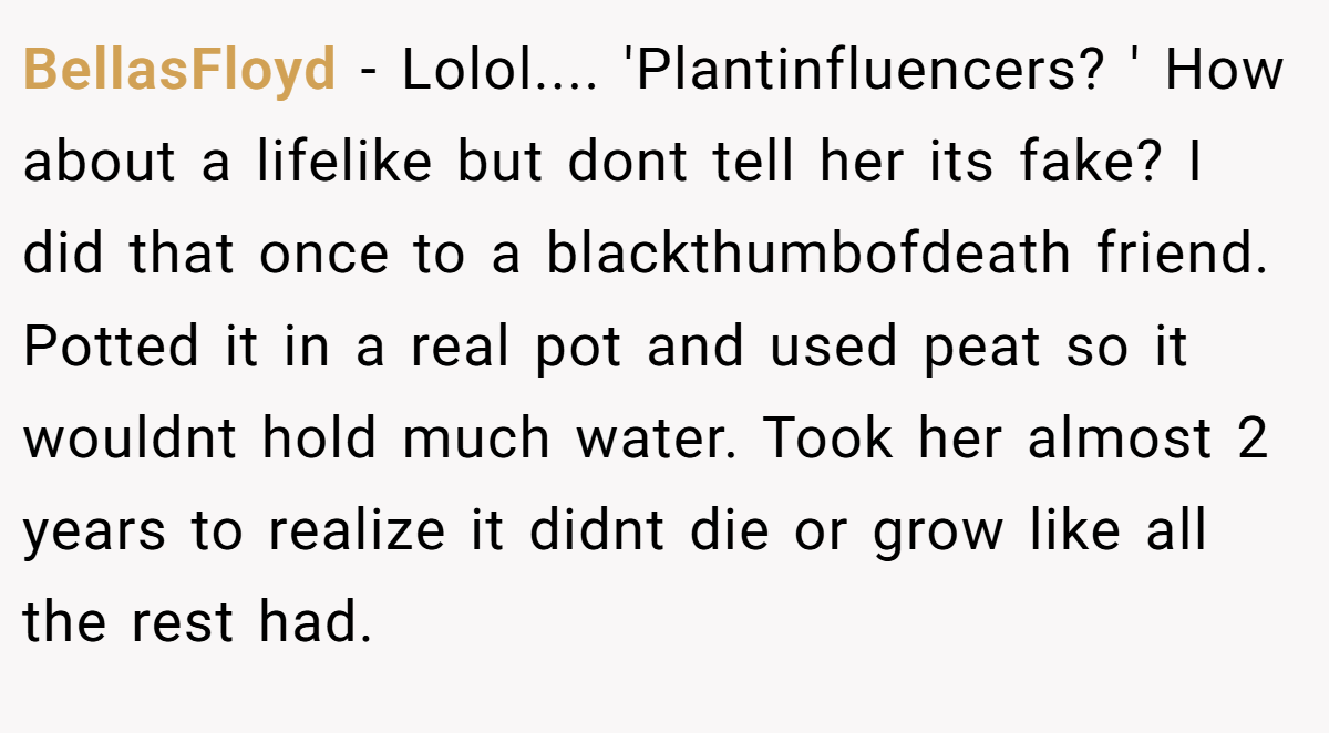 BellasFloyd − Lolol.... 'Plantinfluencers? ' How about a lifelike but dont tell her its fake? I did that once to a blackthumbofdeath friend. Potted it in a real pot and used peat so it wouldnt hold much water. Took her almost 2 years to realize it didnt die or grow like all the rest had.