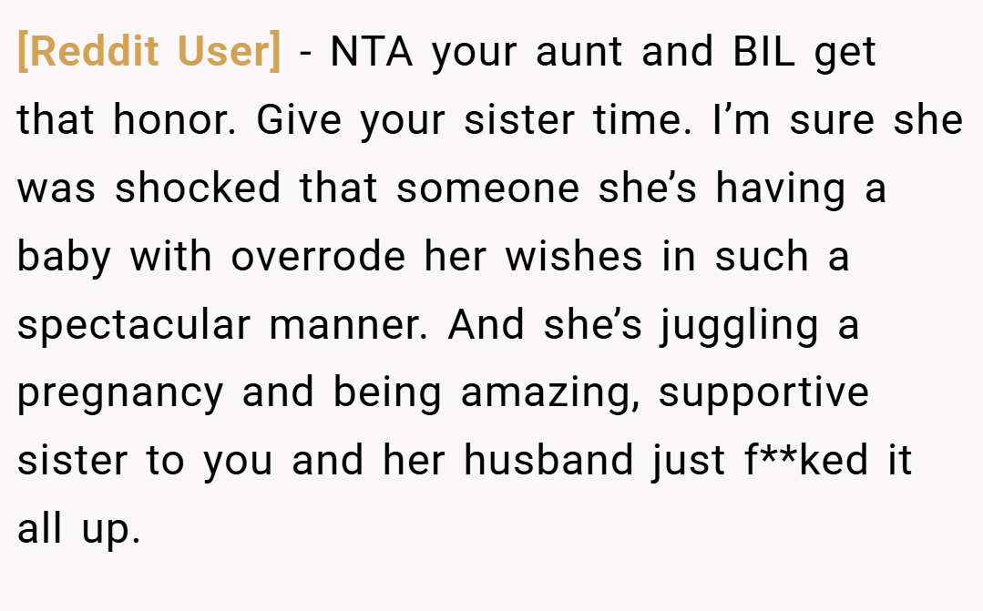 [Reddit User] − NTA your aunt and BIL get that honor. Give your sister time. I’m sure she was shocked that someone she’s having a baby with overrode her wishes in such a spectacular manner. And she’s juggling a pregnancy and being amazing, supportive sister to you and her husband just f**ked it all up.