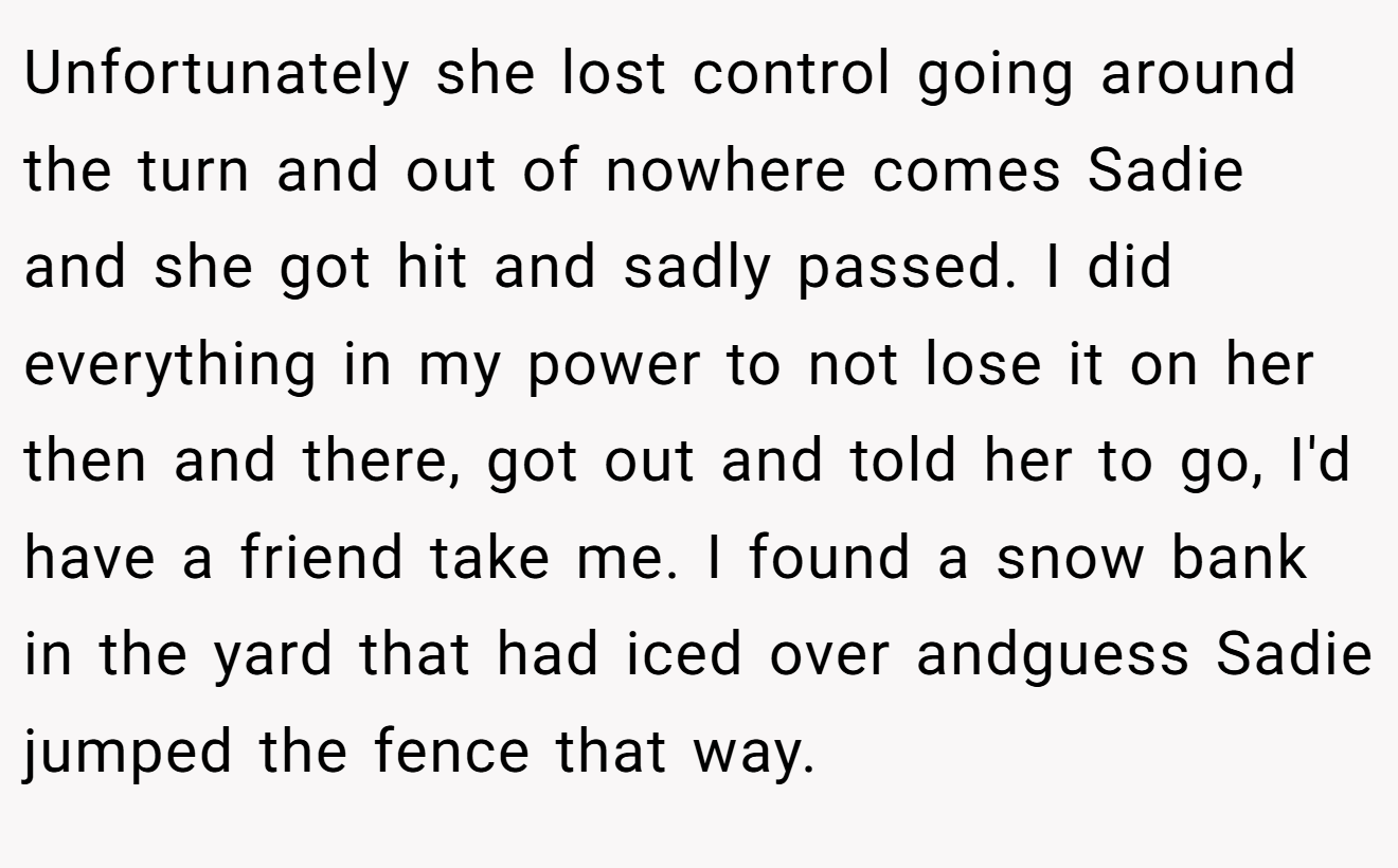 Unfortunately she lost control going around the turn and out of nowhere comes Sadie and she got hit and sadly passed. I did everything in my power to not lose it on her then and there, got out and told her to go, I'd have a friend take me. I found a snow bank in the yard that had iced over andguess Sadie jumped the fence that way.