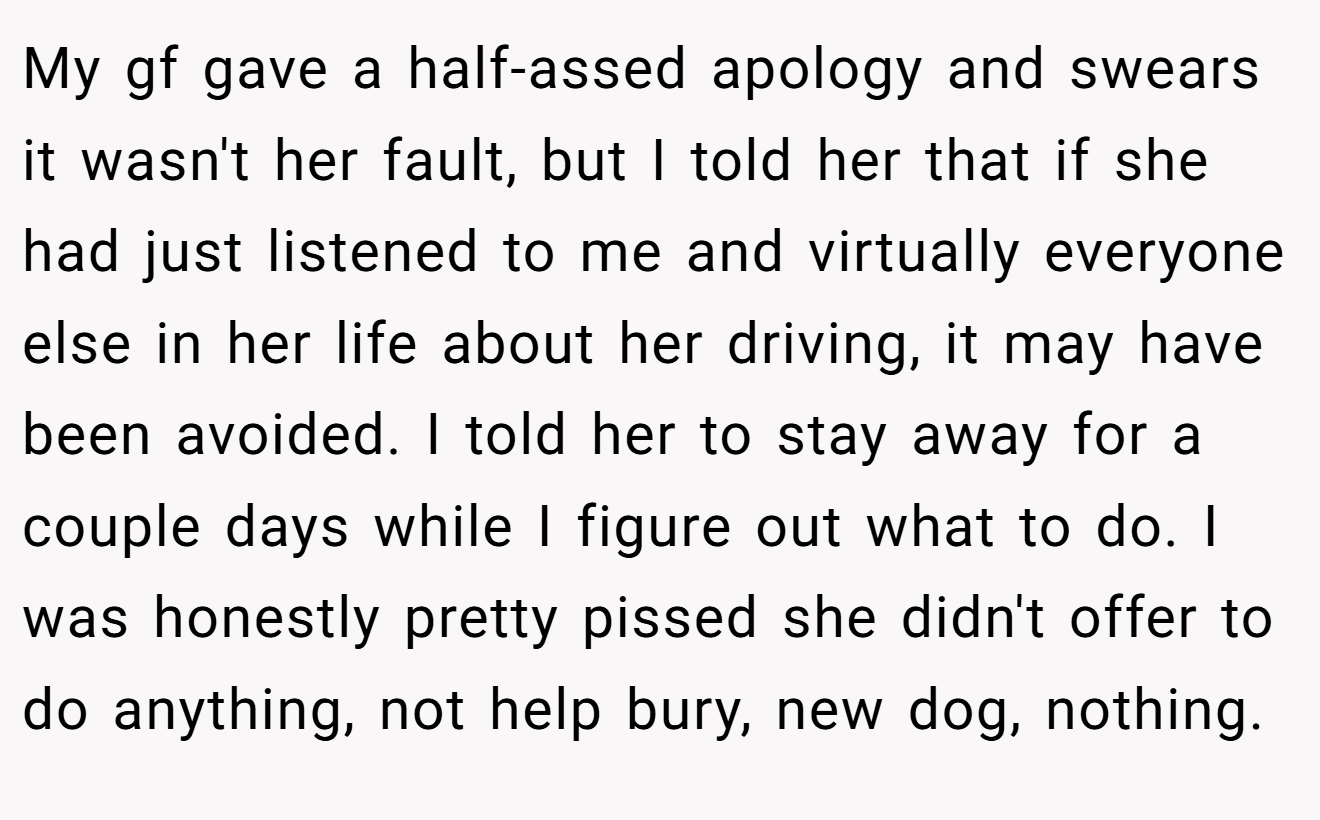 My gf gave a half-assed apology and swears it wasn't her fault, but I told her that if she had just listened to me and virtually everyone else in her life about her driving, it may have been avoided. I told her to stay away for a couple days while I figure out what to do. I was honestly pretty pissed she didn't offer to do anything, not help bury, new dog, nothing.