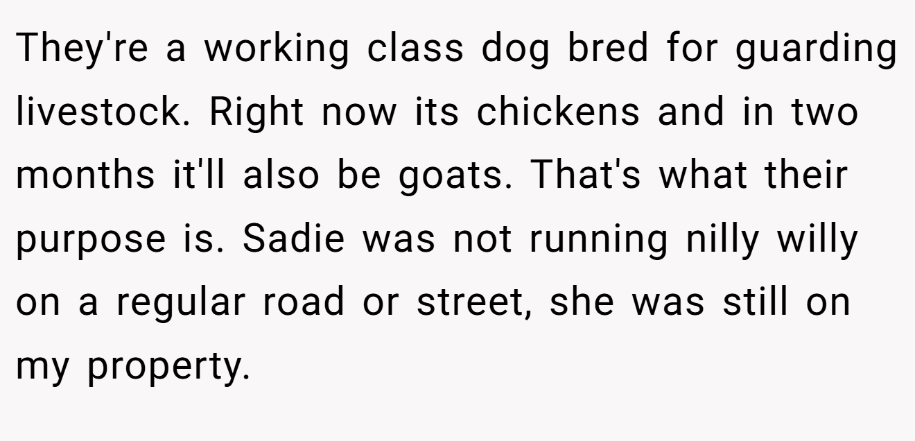 They're a working class dog bred for guarding livestock. Right now its chickens and in two months it'll also be goats. That's what their purpose is. Sadie was not running nilly willy on a regular road or street, she was still on my property.