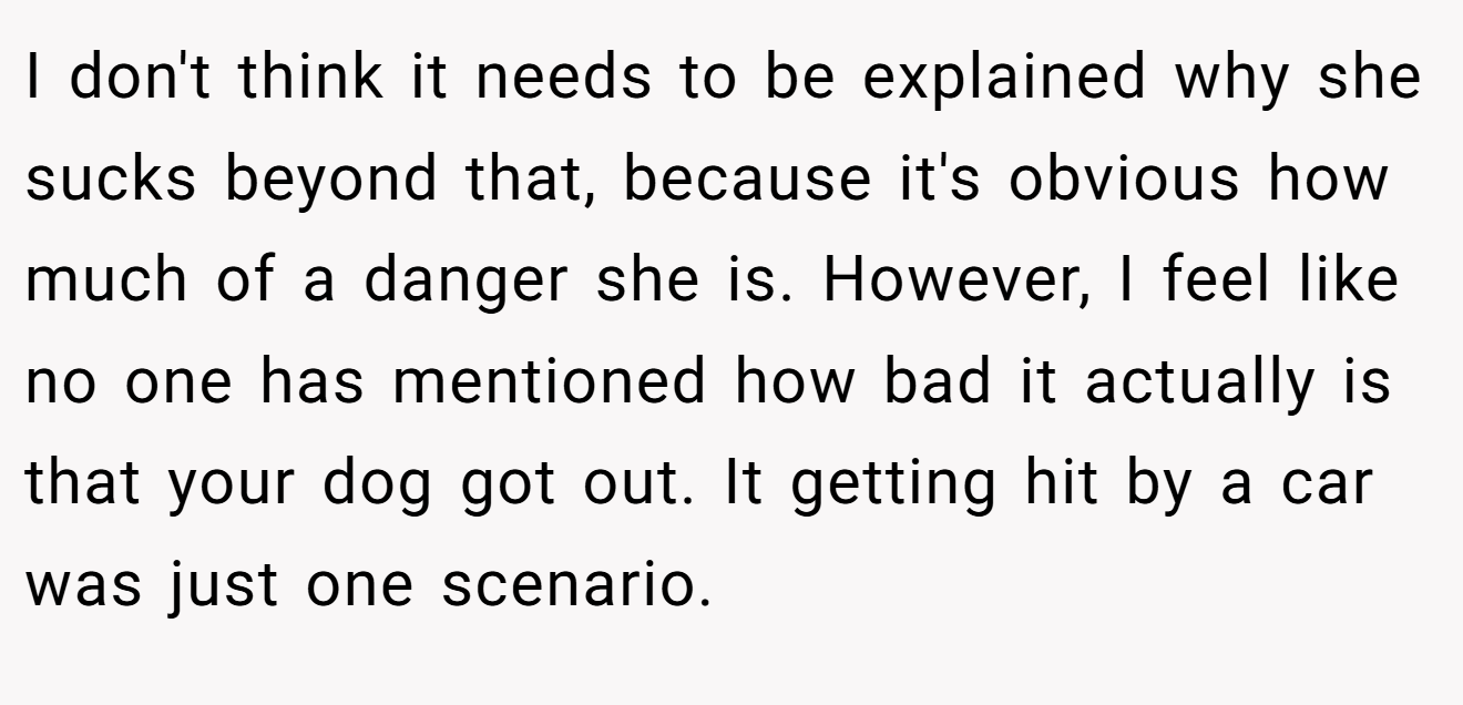 I don't think it needs to be explained why she sucks beyond that, because it's obvious how much of a danger she is. However, I feel like no one has mentioned how bad it actually is that your dog got out. It getting hit by a car was just one scenario.