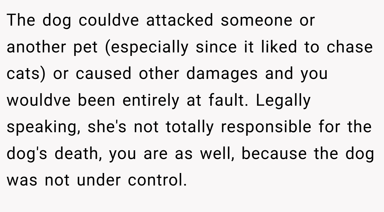 The dog couldve attacked someone or another pet (especially since it liked to chase cats) or caused other damages and you wouldve been entirely at fault. Legally speaking, she's not totally responsible for the dog's death, you are as well, because the dog was not under control.