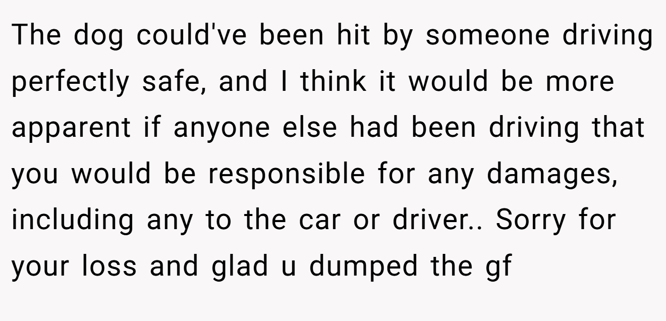 The dog could've been hit by someone driving perfectly safe, and I think it would be more apparent if anyone else had been driving that you would be responsible for any damages, including any to the car or driver.. Sorry for your loss and glad u dumped the gf