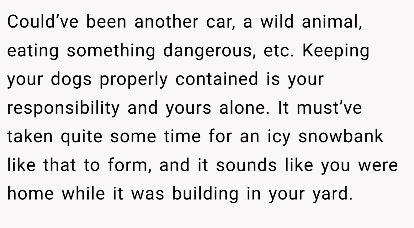 Could’ve been another car, a wild animal, eating something dangerous, etc. Keeping your dogs properly contained is your responsibility and yours alone. It must’ve taken quite some time for an icy snowbank like that to form, and it sounds like you were home while it was building in your yard.