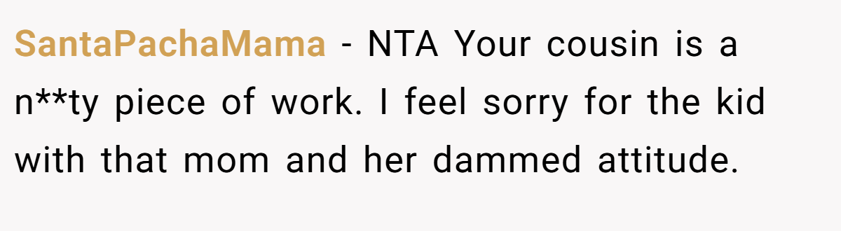 SantaPachaMama − NTA Your cousin is a n**ty piece of work. I feel sorry for the kid with that mom and her dammed attitude.