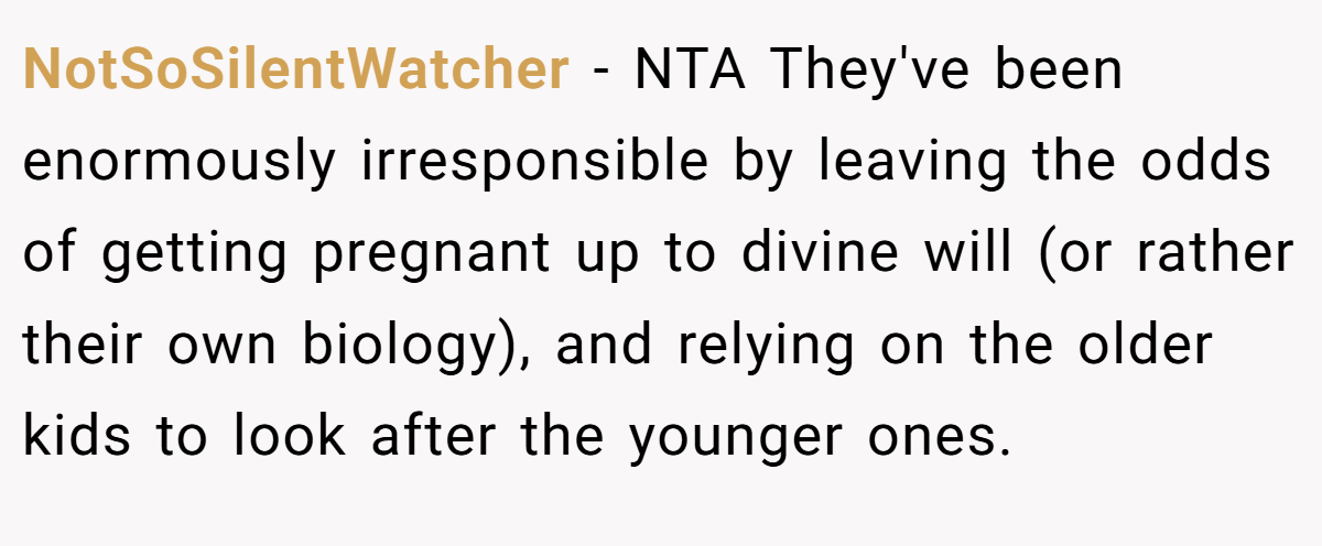 NotSoSilentWatcher − NTA They've been enormously irresponsible by leaving the odds of getting pregnant up to divine will (or rather their own biology), and relying on the older kids to look after the younger ones.