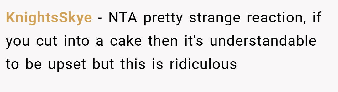 KnightsSkye − NTA pretty strange reaction, if you cut into a cake then it's understandable to be upset but this is ridiculous
