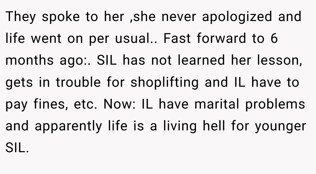 They spoke to her ,she never apologized and life went on per usual.. Fast forward to 6 months ago:. SIL has not learned her lesson, gets in trouble for shoplifting and IL have to pay fines, etc. Now: IL have marital problems and apparently life is a living hell for younger SIL.