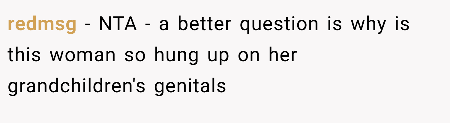 redmsg − NTA - a better question is why is this woman so hung up on her grandchildren's genitals
