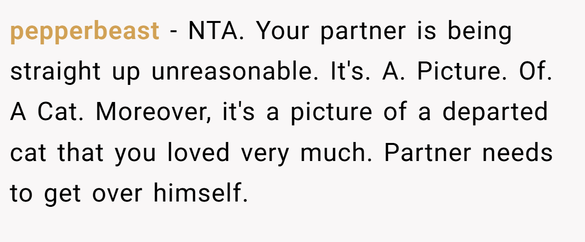 pepperbeast − NTA. Your partner is being straight up unreasonable. It's. A. Picture. Of. A Cat. Moreover, it's a picture of a departed cat that you loved very much. Partner needs to get over himself.