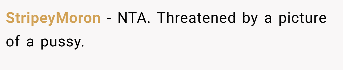 StripeyMoron − NTA. Threatened by a picture of a pussy.